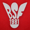Federation logo